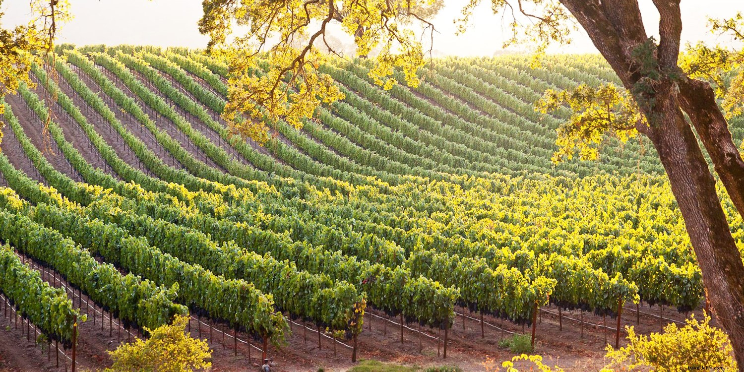 Mois du vin californien :offres de Napa à Temecula 